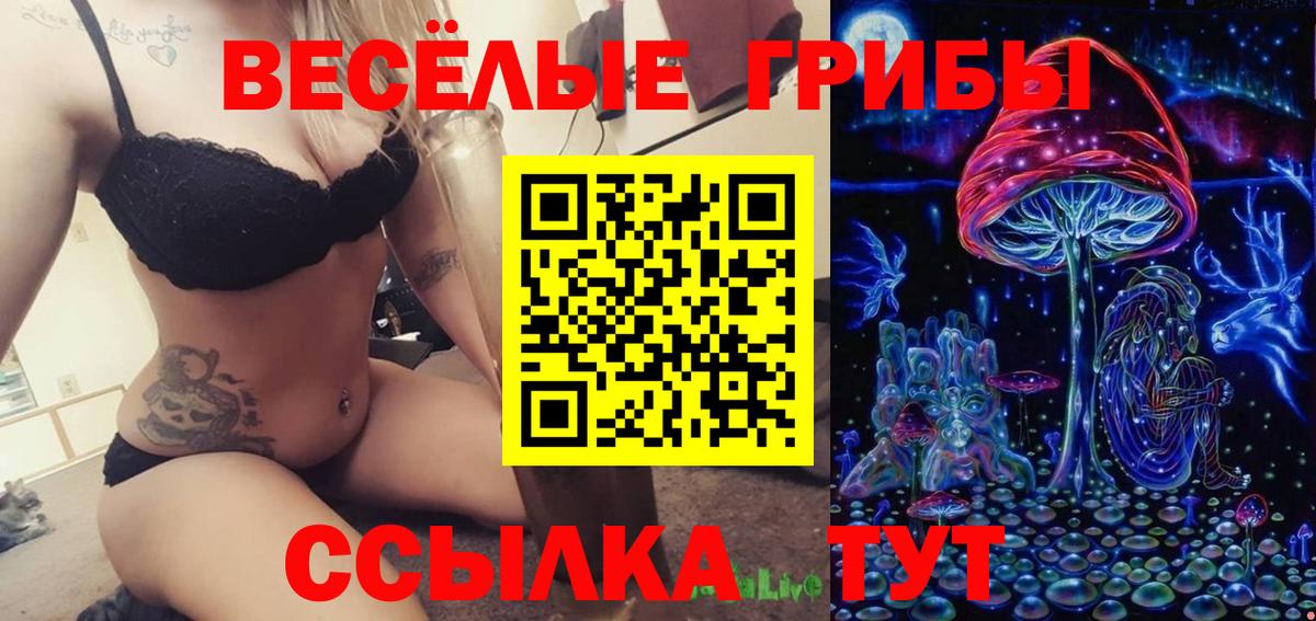 Галлюциногенные грибы GOLDEN TEACHER  Вход с VPN  Горячий Ключ 