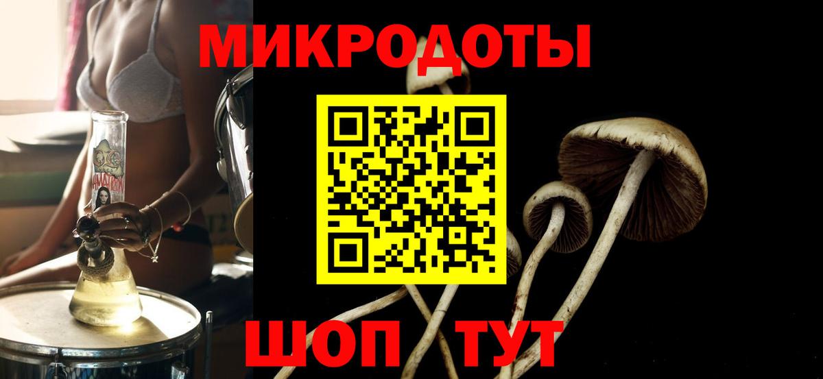 Галлюциногенные грибы Psilocybine cubensis Горячий Ключ